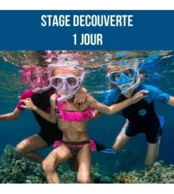 Stage Enfant - Découverte (1 Jour)